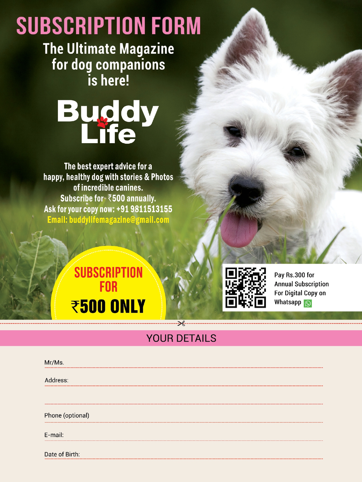 Buddy Life Magazine